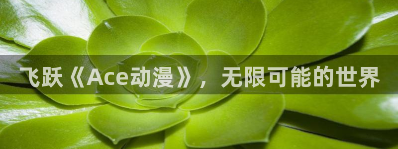 国产精品久久久久动漫